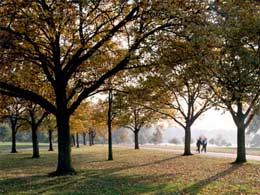 Hyde Park