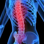 Reflexology for Back Pain Workshop